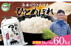  【 令和6年産  】  定期便 ひとめぼれ 60ｋｇ （ 毎月 10ｋｇ × 6回 ）【 今井のつきたて米 】福島県 大玉村 令和6年 米 今井農園 ｜ OT08-017-R6