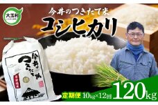 【 令和6年産  】 米 定期便 コシヒカリ 120ｋｇ（毎月10ｋｇ×12回） 【 今井のつきたて米 】福島県 大玉村 こしひかり 定期便 米 今井農園 ｜ OT08-009-R6