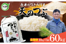 【 令和6年産  】 【 今井のつきたて米 】 天のつぶ 60ｋｇ （ 毎月 １０ｋｇ × 6回 ）【OT08-026-R6】 福島県 大玉村 てんのつぶ テンノツブ 米 定期便 今井農園
