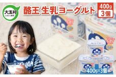 【先行予約】酪王 生乳 ヨーグルト 加糖 400g × 3個 ｜ もったり 濃厚 クリーミー 香料 安定剤 不使用 乳酸菌 腸活 プロバイオティクス 健康 美容 福島 子ども 女性 大玉村 ご当地 乳製品 朝食 | pl-yo-400g-3s