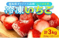 冷凍いちご 福島県オリジナル品種「ふくはる香」3kg（250g×12） いちご イチゴ 苺 福島県 鏡石町 鏡石農遊園 F6Q-346