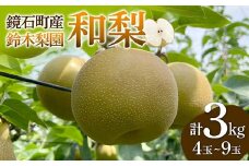 鏡石町産 和梨 3kg（4玉～9玉） なし ナシ フルーツ 果物 福島県 鏡石町 F6Q-121