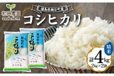 〈先行予約 2025年産米〉 福島県鏡石町産 和田農園「コシヒカリ」精米 4kg（2kg×2袋） 米 コメ こめ F6Q-182