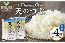 〈先行予約 2025年産米〉 12月から発送 福島県鏡石町産 和田農園「天のつぶ」精米 4kg（2kg×2袋） 米 コメ こめ F6Q-327
