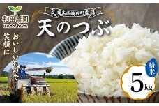 〈先行予約 2025年産米〉 12月から発送 福島県鏡石町産 和田農園「天のつぶ」精米 5kg 米 コメ こめ F6Q-328