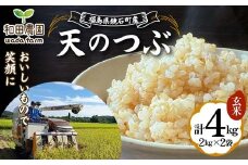 〈先行予約 2025年産米〉 12月から発送 福島県鏡石町産 和田農園「天のつぶ」玄米 4kg（2kg×2袋） 米 コメ こめ F6Q-330