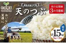 〈先行予約 2025年産米〉 12月から発送 【米の定期便】福島県鏡石町産 和田農園「天のつぶ」精米 5kg 3か月連続 米 コメ こめ F6Q-333