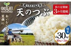 〈先行予約 2025年産米〉 12月から発送 【米の定期便】福島県鏡石町産 和田農園「天のつぶ」精米 10kg 3か月連続 米 コメ こめ F6Q-334