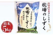 令和6年産 特別栽培米 コシヒカリ 5kg 『牧場のしずく』 こしひかり 精米 米 コメ こめ 福島県 鏡石町  F6Q-070