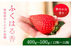 【先行予約】香りが強い！福島県オリジナル品種「ふくはる香」 約400g～500g（12粒～15粒） いちご イチゴ 苺 福島県 鏡石町 鏡石農遊園 F6Q-074
