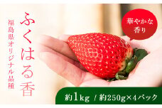【先行予約】香りが強い！福島県オリジナル品種「ふくはる香」 2L～3L 約1kg（約250g×4パック） いちご イチゴ 苺 福島県 鏡石町 鏡石農遊園 F6Q-077