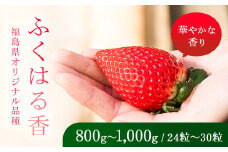 【先行予約】香りが強い！福島県オリジナル品種「ふくはる香」 約800g～1000g（24粒～30粒） いちご イチゴ 苺 福島県 鏡石町 鏡石農遊園 F6Q-075
