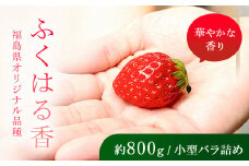 【先行予約】香りが強い！福島県オリジナル品種「ふくはる香」小粒 バラ詰め 約800g  いちご イチゴ 苺 福島県 鏡石町 鏡石農遊園 F6Q-078