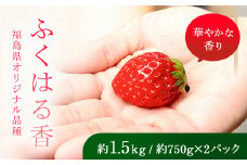 【先行予約】香りが強い！福島県オリジナル品種「ふくはる香」小粒 バラ詰め 約1.5kg（約750g×2パック） いちご イチゴ 苺 福島県 鏡石町 鏡石農遊園 F6Q-079