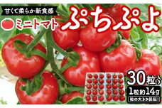 粒の大きさ保証！甘くて柔らか新食感 ミニトマト「ぷちぷよ」30粒入り 野菜 とまと F6Q-097