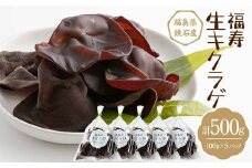 福寿「生キクラゲ」500g (100g×5パック) きくらげ きのこ キノコ F6Q-108