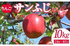 ＜先行予約＞りんご サンふじ10kg（24玉～40玉） リンゴ フルーツ 果物 福島県 鏡石町 F6Q-139