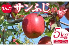 ＜先行予約＞りんご サンふじ5kg（12玉～20玉） リンゴ フルーツ 果物 福島県 鏡石町 F6Q-138