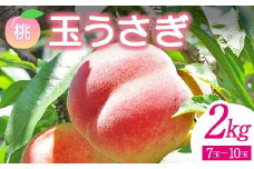 ＜先行予約＞ 福島県産 甘くてジューシー 桃 玉うさぎ2kg（7玉～10玉） モモ フルーツ 果物 福島県 鏡石町 F6Q-140