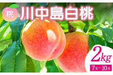 ＜先行予約＞ 福島県産 甘くてジューシー 桃 川中島 白桃 2kg（7玉～10玉） モモ フルーツ 果物 福島県 鏡石町 F6Q-141