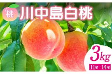 ＜先行予約＞ 福島県産 甘くてジューシー 桃 川中島 白桃 3kg（11玉～14玉） モモ フルーツ 果物 福島県 鏡石町 F6Q-142