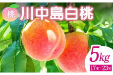 ＜先行予約＞ 福島県産 甘くてジューシー 桃 川中島 白桃 5kg（17玉～23玉） モモ フルーツ 果物 福島県 鏡石町 F6Q-143