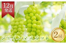 ＜先行予約＞12月発送 シャインマスカット 2房（約1.5kg～2kg） ぶどう ブドウ 葡萄 フルーツ 果物 福島県 鏡石町 F6Q-146