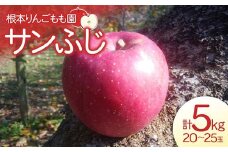 【先行予約】サンふじ 5kg （20～25玉） りんご リンゴ フルーツ 果物 福島県 鏡石町 F6Q-127