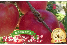 ＜先行予約＞【訳あり品】 福島県 鏡石町産 完熟サンふじ 5kg (家庭用12玉～22玉) ワケあり りんご リンゴ フルーツ 果物 くだもの F6Q-147