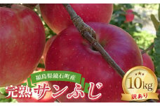 ＜先行予約＞【訳あり品】 福島県 鏡石町産 完熟サンふじ 10kg (家庭用 26玉～46玉) ワケあり りんご リンゴ フルーツ 果物 くだもの F6Q-148
