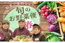  鏡石のうまいもの野菜の直送便（春）果物 詰め合わせ つめ合わせ セット 福島県 鏡石町 F6Q-133