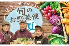鏡石のうまいもの野菜の直送便（夏）果物 詰め合わせ つめ合わせ セット 福島県 鏡石町 F6Q-134