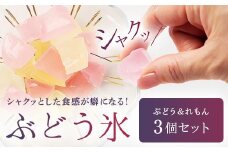 ＜数量限定＞ 琥珀糖の仲間 ぶどう氷 3個セット（ぶどう味 2、れもん味 1） 和菓子 菓子 砂糖菓子 伝統菓子 F6Q-130