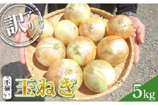 《先行予約》 2025年発送 ＜訳アリ＞ うまみたっぷり！ 不揃い 玉ねぎ 5kg たまねぎ タマネギ 玉葱 野菜 訳あり ワケアリ F6Q-150
