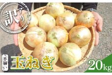 《先行予約》 2025年発送 ＜訳アリ＞ うまみたっぷり！ 不揃い 玉ねぎ 20kg たまねぎ タマネギ 玉葱 野菜 訳あり ワケアリ F6Q-152