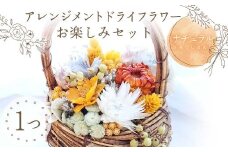 【ナチュラル】アレンジメント ドライフラワー お楽しみセット 花 はな フラワー プレゼント ギフト インテリア 雑貨 F6Q-162