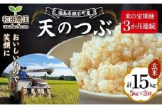 〈先行予約 2025年産米〉 12月から発送 【米の定期便】福島県鏡石町産 和田農園「天のつぶ」玄米5kg 3か月連続 F6Q-335