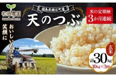 〈先行予約 2025年産米〉 12月から発送 【米の定期便】福島県鏡石町産 和田農園「天のつぶ」玄米10kg 3か月連続 F6Q-336