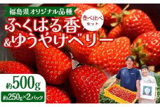 【先行予約】福島県オリジナル品種「ふくはる香」「ゆうやけベリー」食べ比べセット約500g（250g×2パック） いちご イチゴ 苺 福島県 鏡石町 鏡石農遊園 F6Q-227