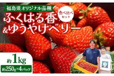 【先行予約】福島県オリジナル品種「ふくはる香」「ゆうやけベリー」食べ比べセット約１kg（250g×4パック） いちご イチゴ 苺 福島県 鏡石町 鏡石農遊園 F6Q-228
