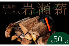 【10月発送】大割サイズ！福島県産「乾燥薪」50kg F6Q-245