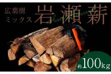 【11月発送】大割サイズ！福島県産「乾燥薪」100kg F6Q-260