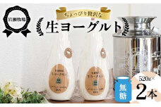 岩瀬牧場ちょっぴり贅沢な「生ヨーグルト」2本（無糖） ヨーグルト 生乳100％ ブラウンスイス 無糖 岩瀬牧場 ふるさと納税 福島県 鏡石町 F6Q-280