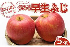 ＜先行予約＞福島県産 甘い りんご 早生ふじ 5kg （12玉～20玉） リンゴ フルーツ 果物 F6Q-287