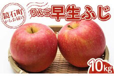 ＜先行予約＞福島県産 甘い りんご 早生ふじ 10kg （24玉～40玉） リンゴ フルーツ 果物 F6Q-288
