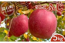 ＜先行予約＞福島県産 甘い りんご ふじ 5kg （12玉～20玉）リンゴ フルーツ 果物 F6Q-289