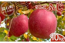 ＜先行予約＞福島県産 甘い りんご ふじ 10kg （24玉～40玉） リンゴ フルーツ 果物 F6Q-290