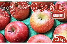 ＜先行予約＞福島県産 家庭用 りんご サンふじ 5kg （12玉～20玉） リンゴ フルーツ 果物 F6Q-291