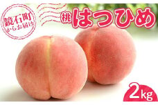 ＜先行予約＞福島県オリジナル品種 桃 はつひめ2kg （7玉～10玉） もも フルーツ 果物 F6Q-293