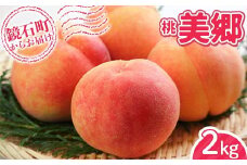 ＜先行予約＞福島県産 甘くてジューシー 桃 美郷 2kg （7玉～10玉） もも フルーツ 果物 F6Q-294